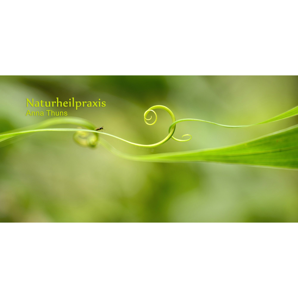 Bild 8 Naturheilpraxis Anna Thuns Chemnitz in Chemnitz