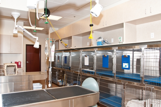 Images VCA Tri City Animal Hospital and Acacia Cat Hospital