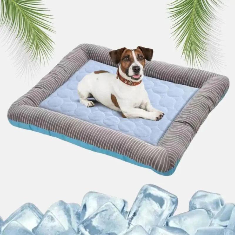 HUNDESCHATZ in Mandelbachtal