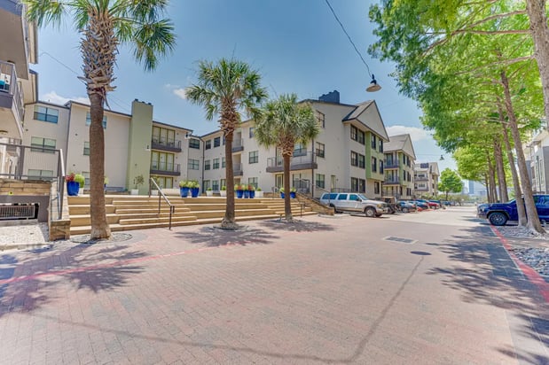 Images Vue Live Oak