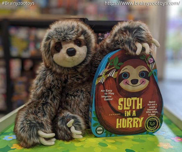 Images BrainyZoo Toys