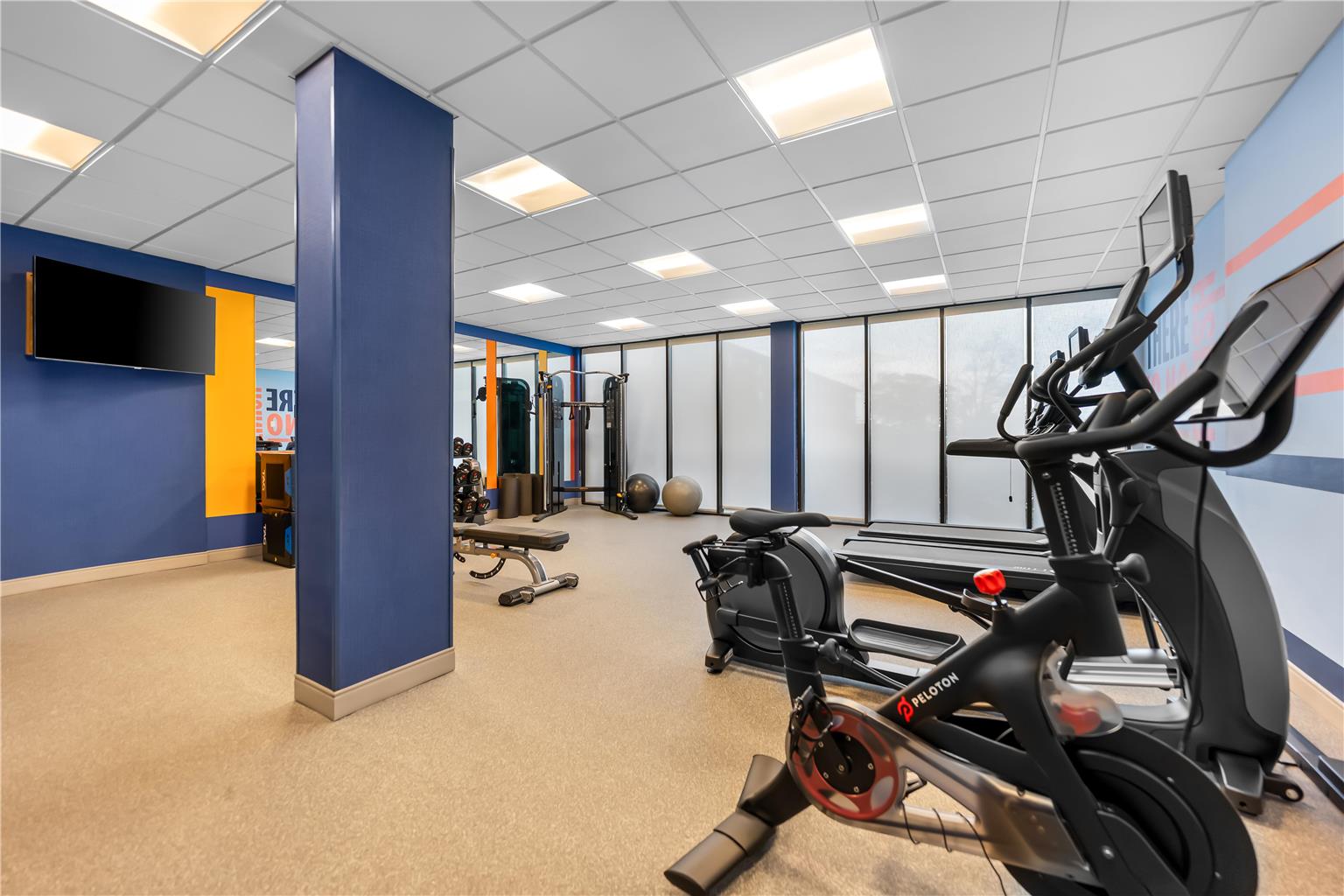 Health club fitness center gym