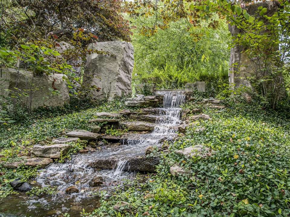 Redbud Hills Photo