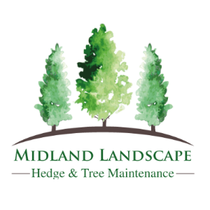 Midland Landscapes