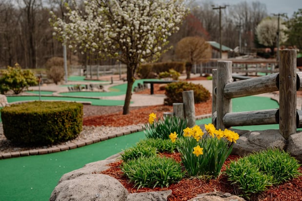 Images Bear Rock Junction