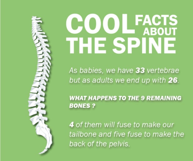 Images Crystal Chiropractic