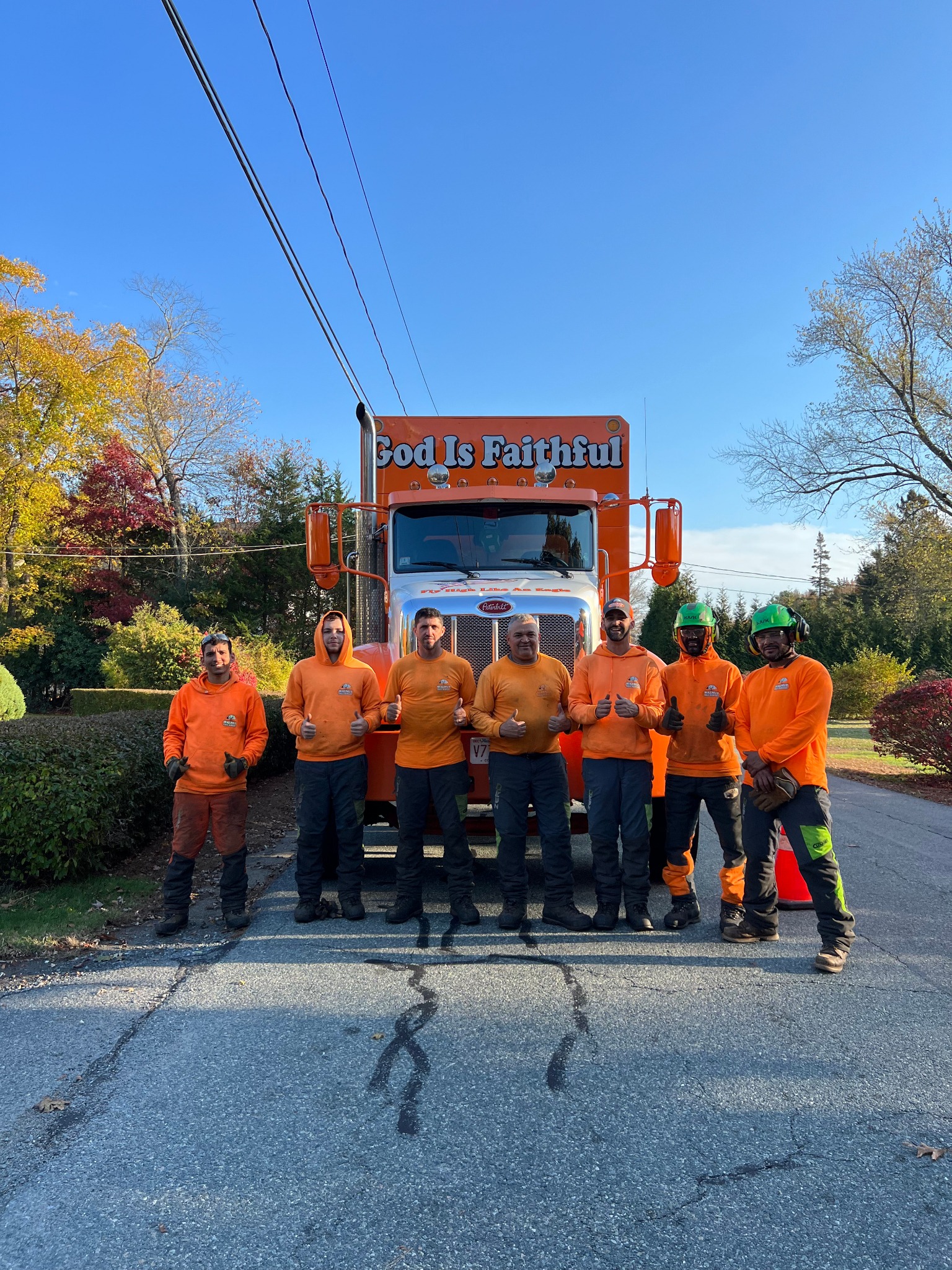 Walnut Tree Service Image