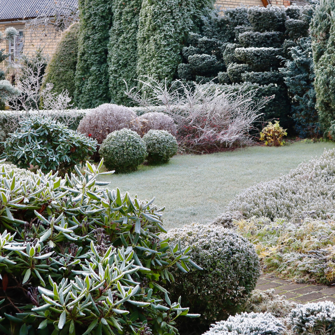 Trimmers Landscaping