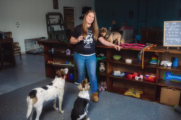 Images Wolf Pack Dog Training, LLC