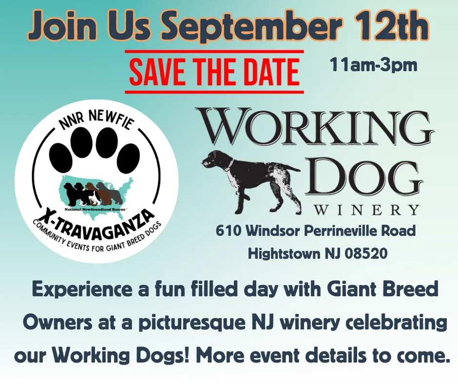 Image of Local Pet Event WAGGIN' EVENT: NNR Newfie X-Travaganza Nearby