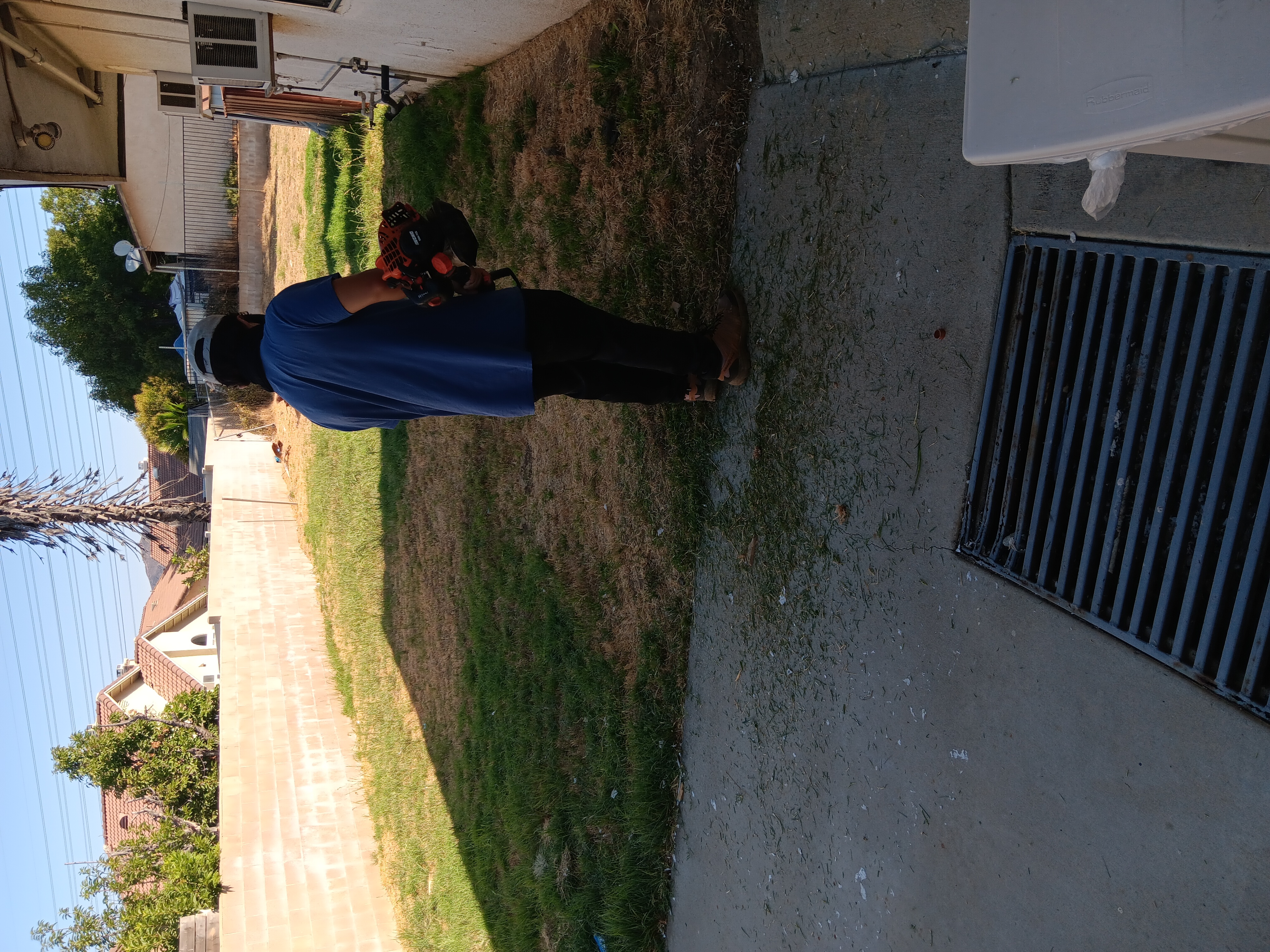 Pimentel's Gardening Logo