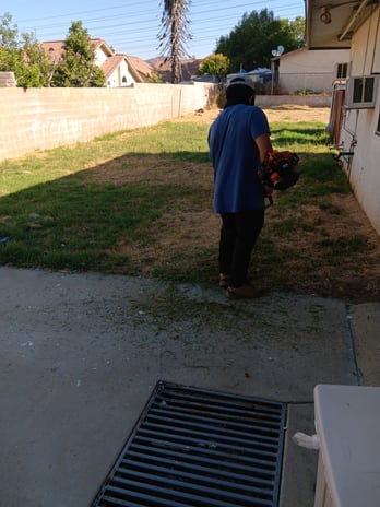 Images Pimentel's Gardening