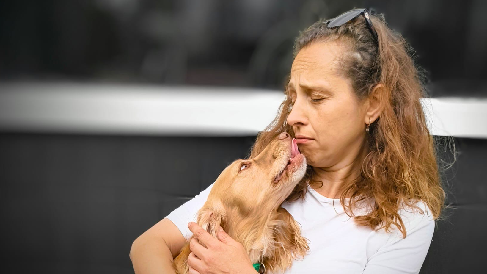 Images Me and My Dog