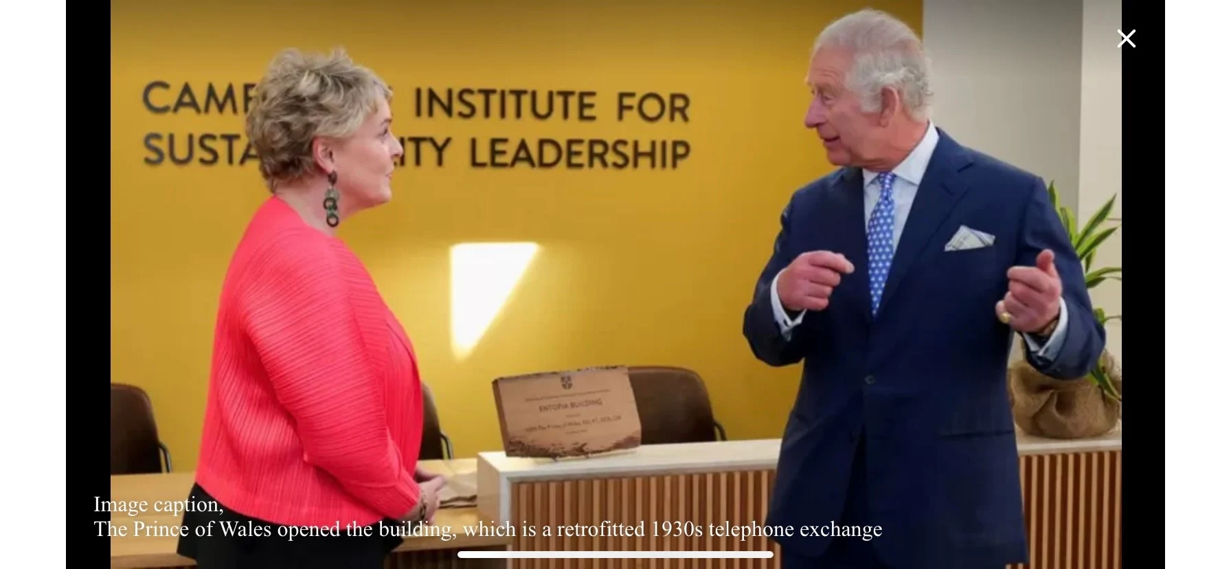 Images Vic's Decorators Ltd