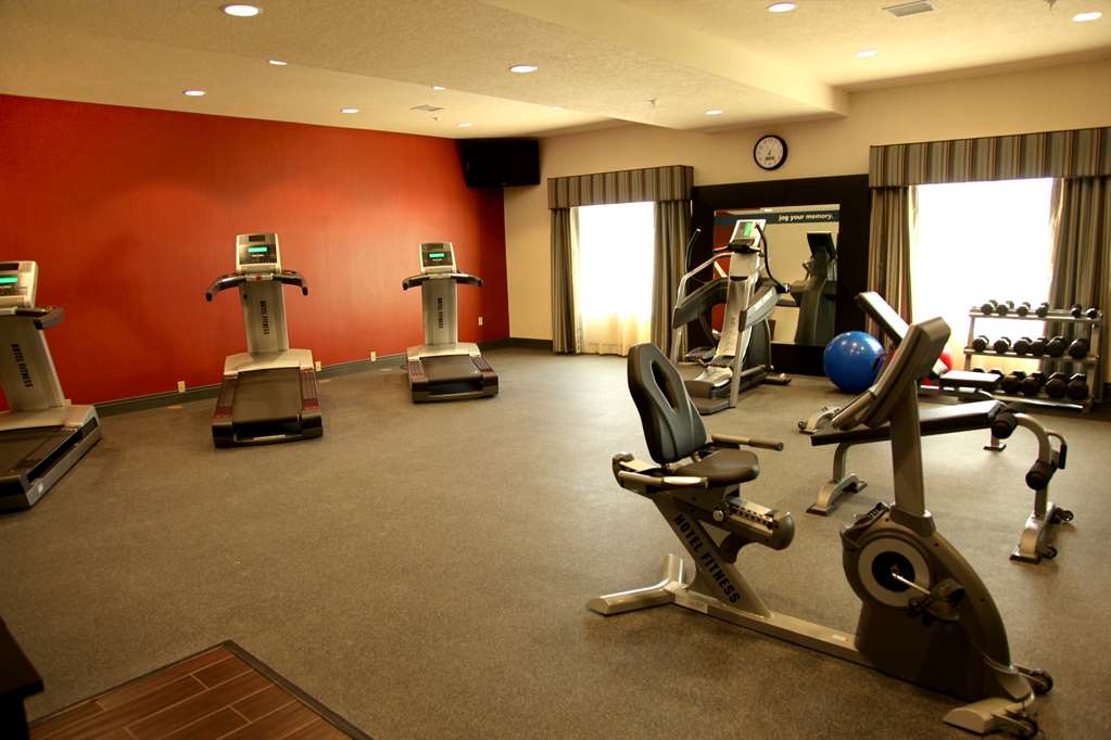 Health club  fitness center  gym Hampton Inn & Suites Carlsbad Carlsbad (575)725-5700