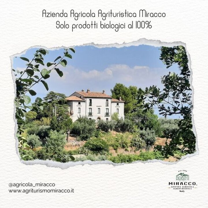 Images AZIENDA AGRICOLA MIRACCO ATANASIO FRANCO