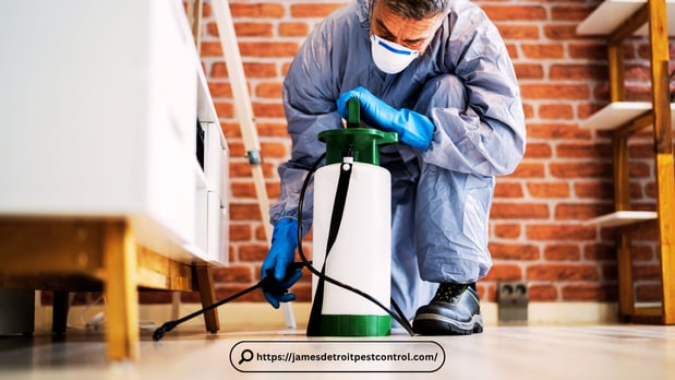 Images Pest Control Detroit