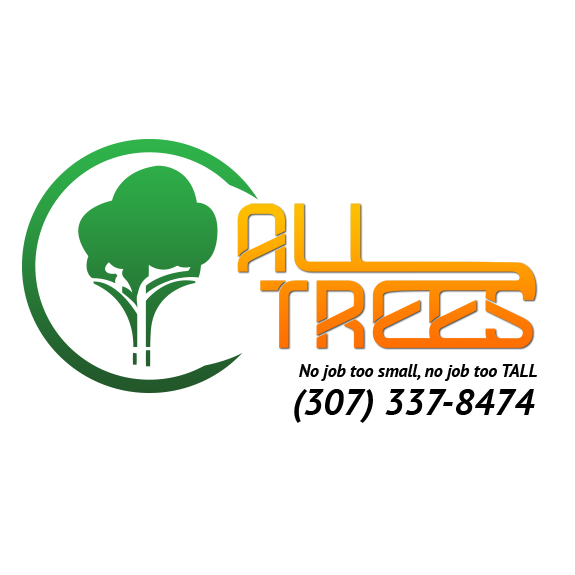All Trees Llc