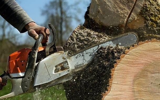 Stutzman Brothers Tree Service Photo