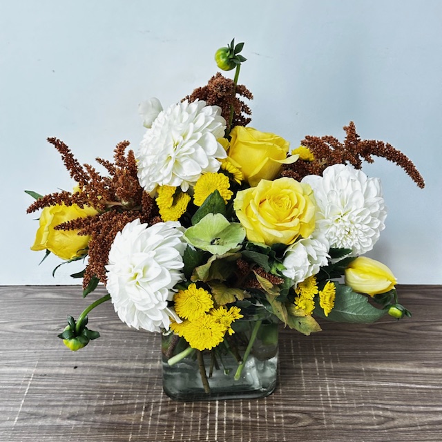 Images Jane's Roses & Flowers