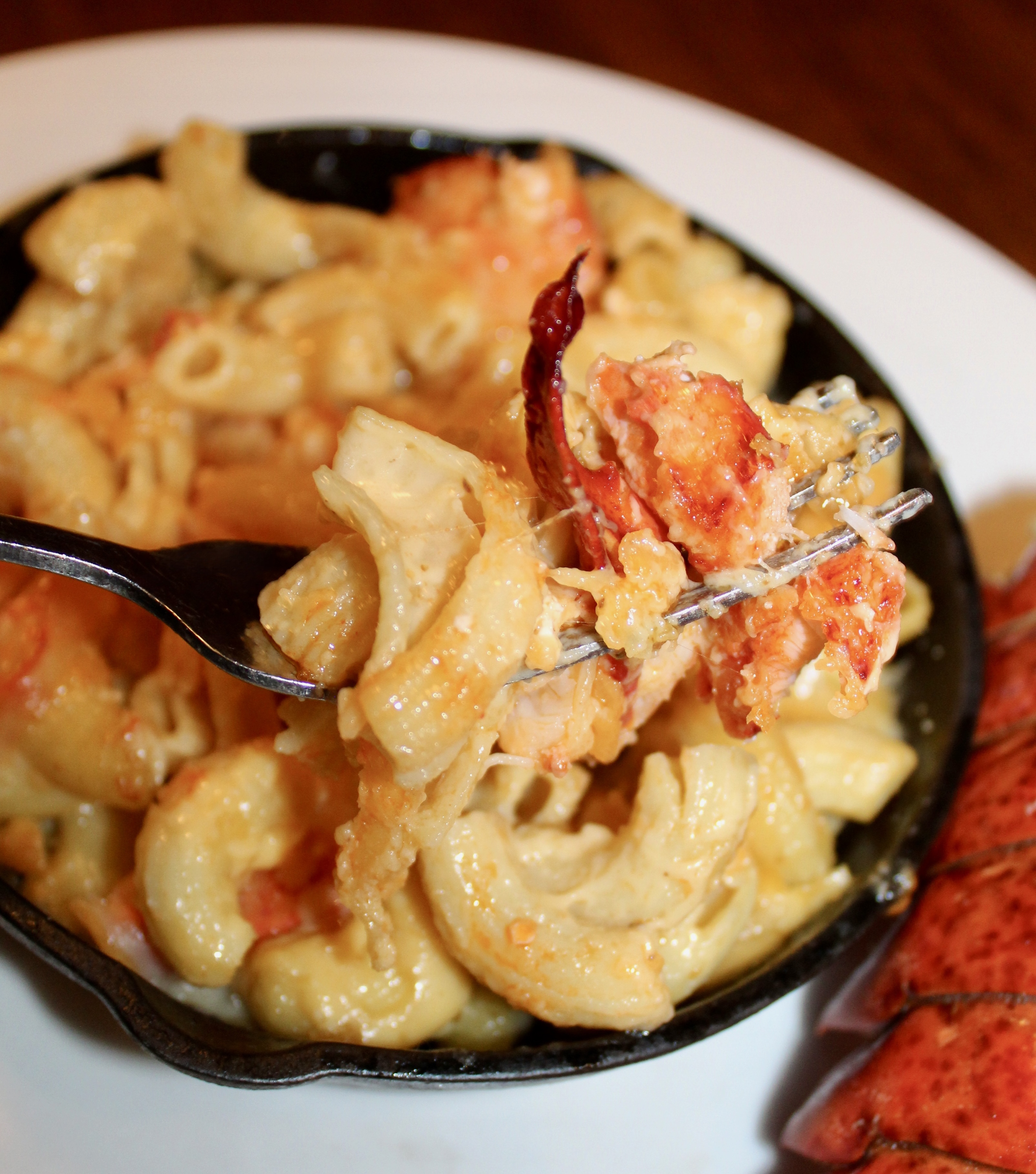 Mama's On The Half Shell Lobster Mac & Cheese - available for nationwide shipping! 