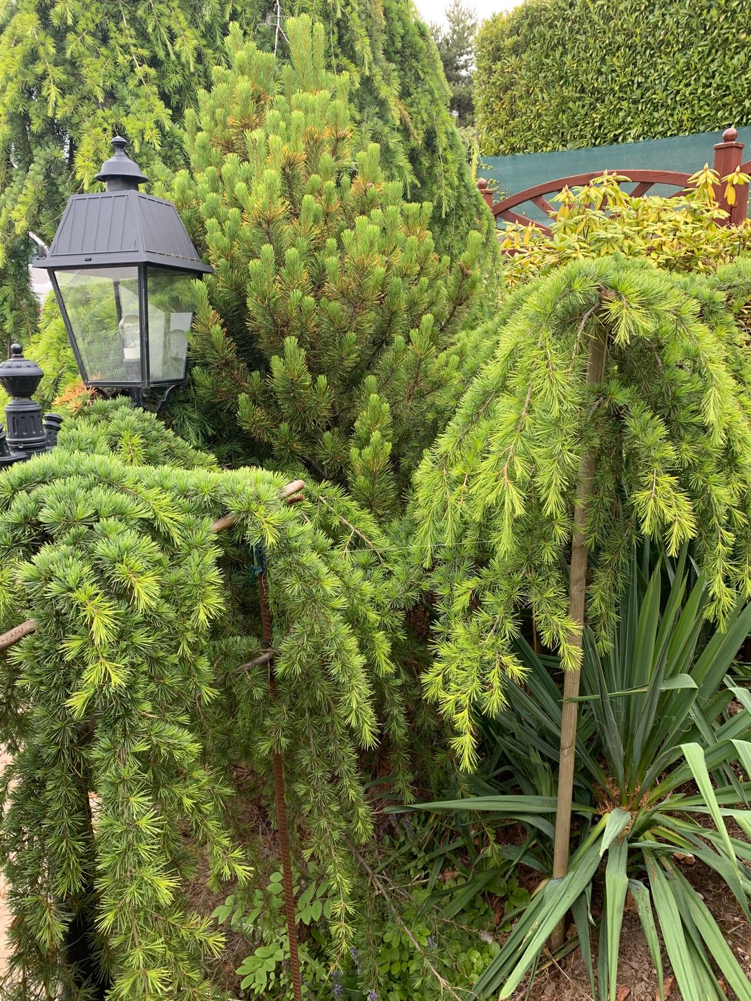 Bilder MD qualité services