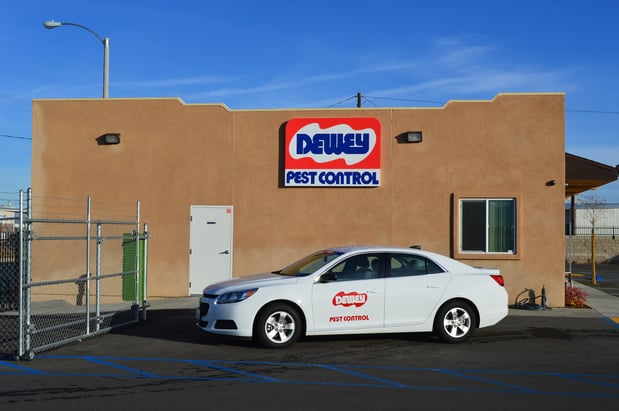 Images Dewey Pest & Termite Control