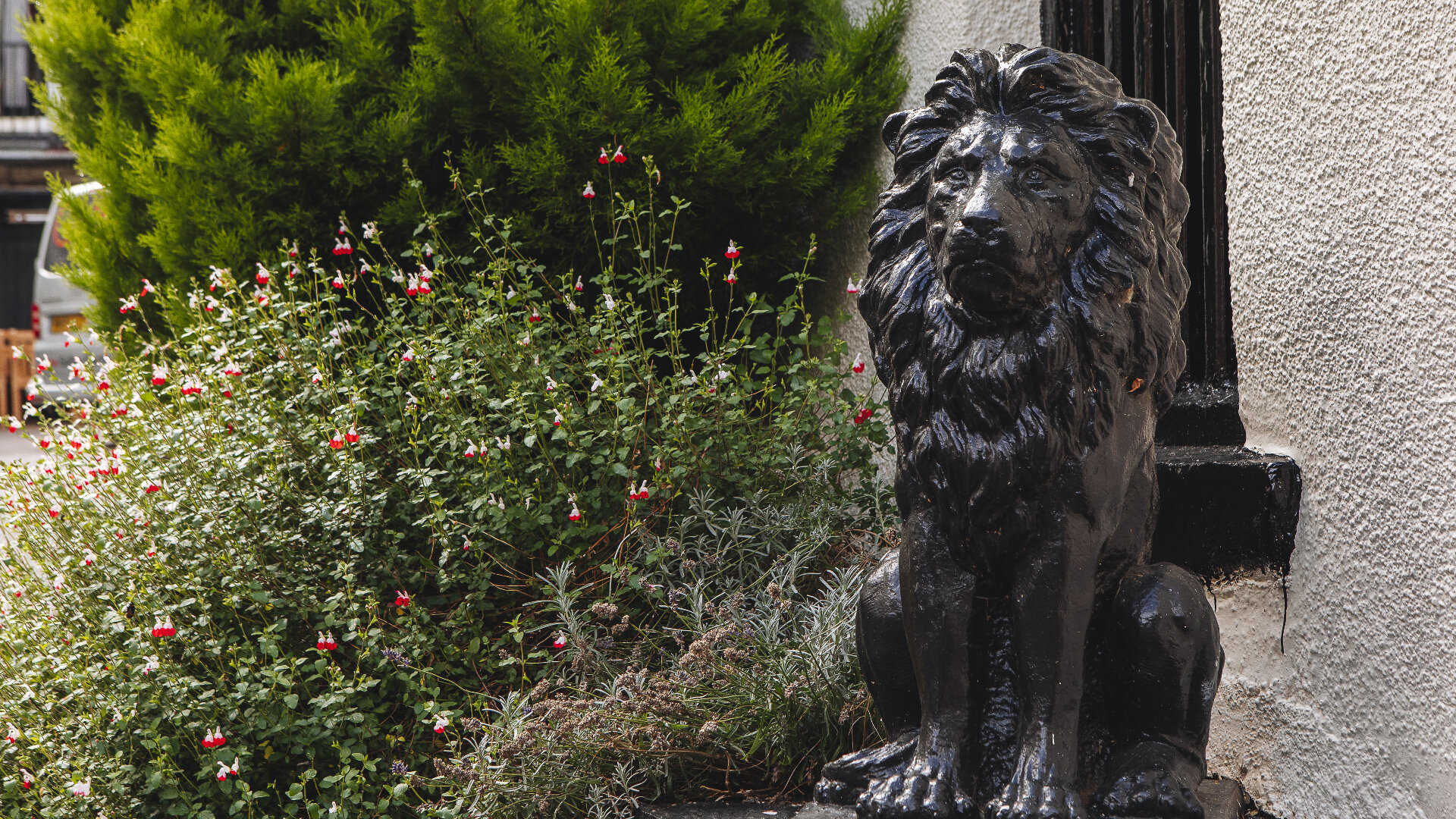 Images Black Lion Hotel