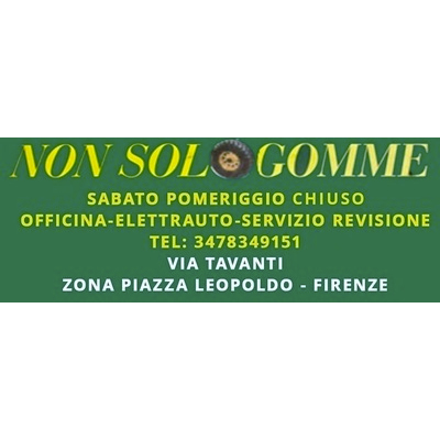 Nonsologomme Logo