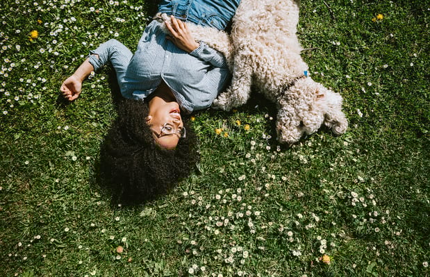 Images Towns at Bell Works