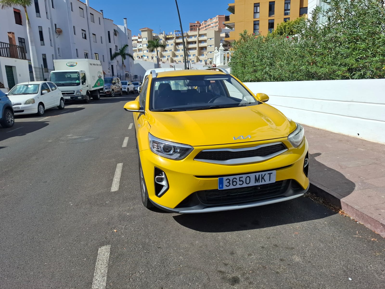 Images Rent A Car Las Rosas
