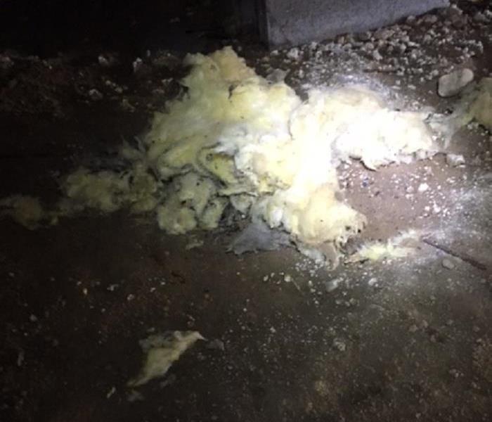 Mold In Basement After a Storm