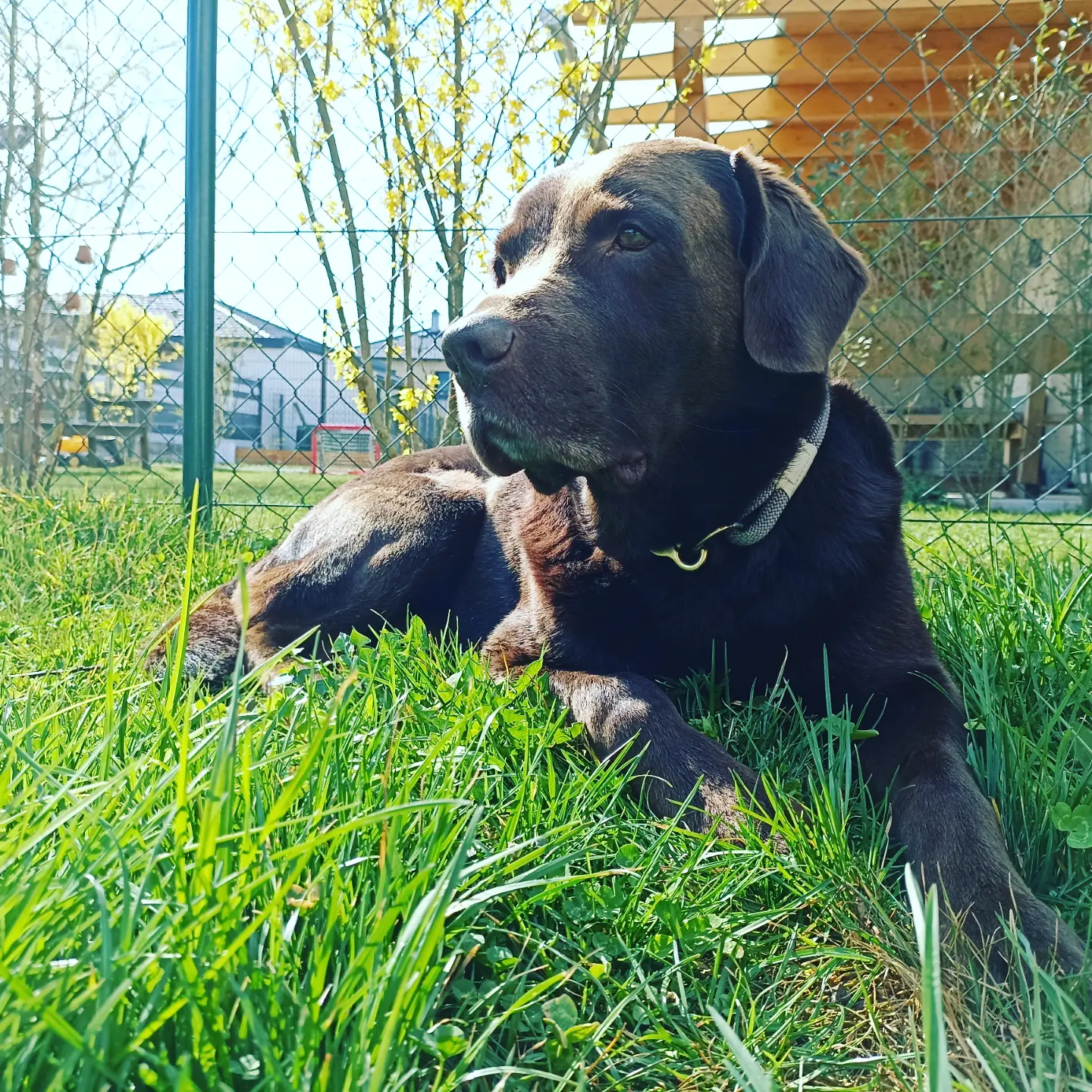 Bild 7 von Tanja Stieblehner - Ernährungstrainerin REICO VITAL - Spezialist für Hund, Katze und Mensch