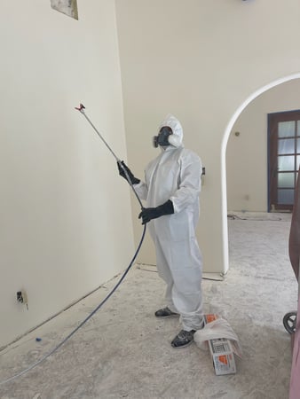 Images Roble Painting Services