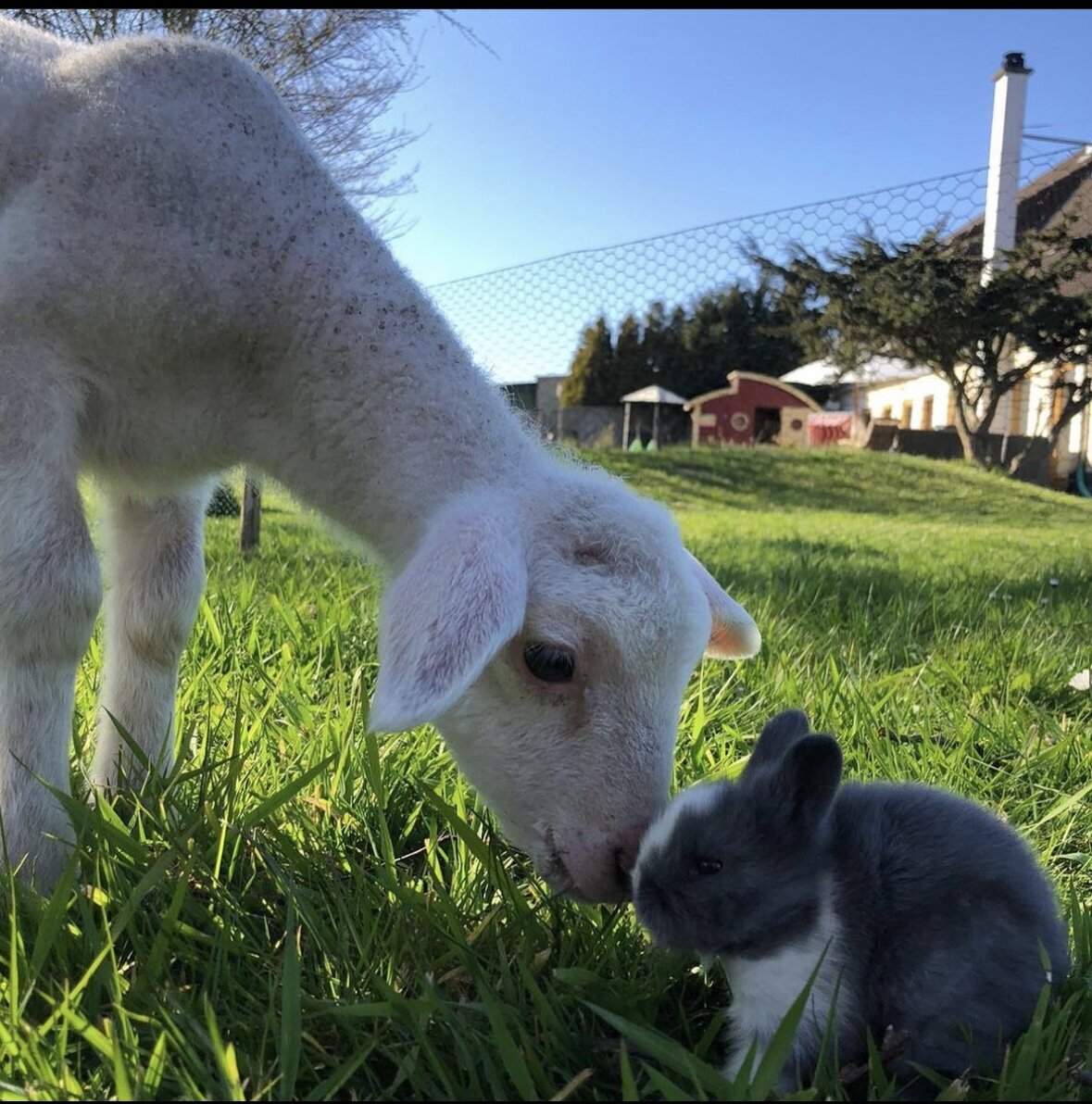 Strandhof Holnis, Holnisser Noorstraße 2 in Glücksburg (Ostsee)