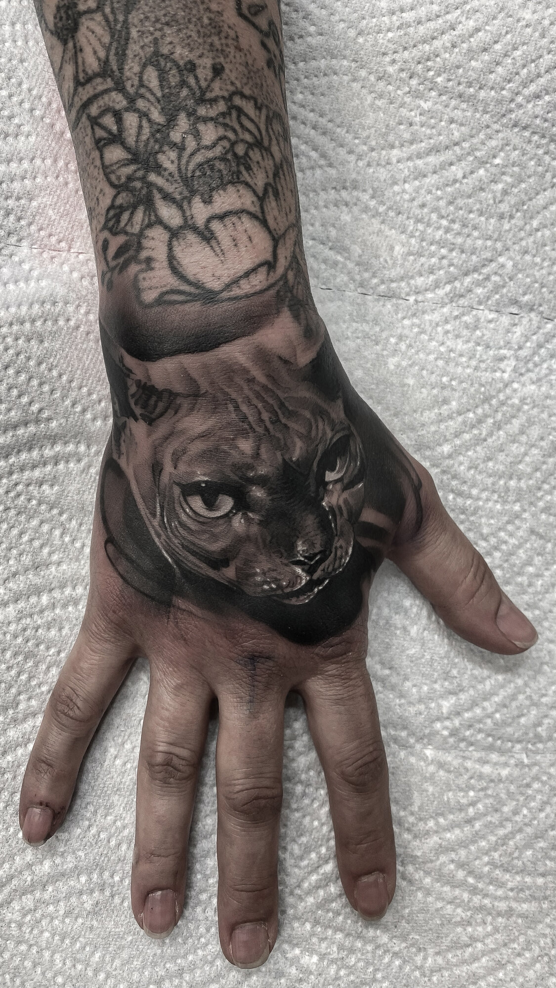 Bilder Old Capital Tattoo & Lifestyle