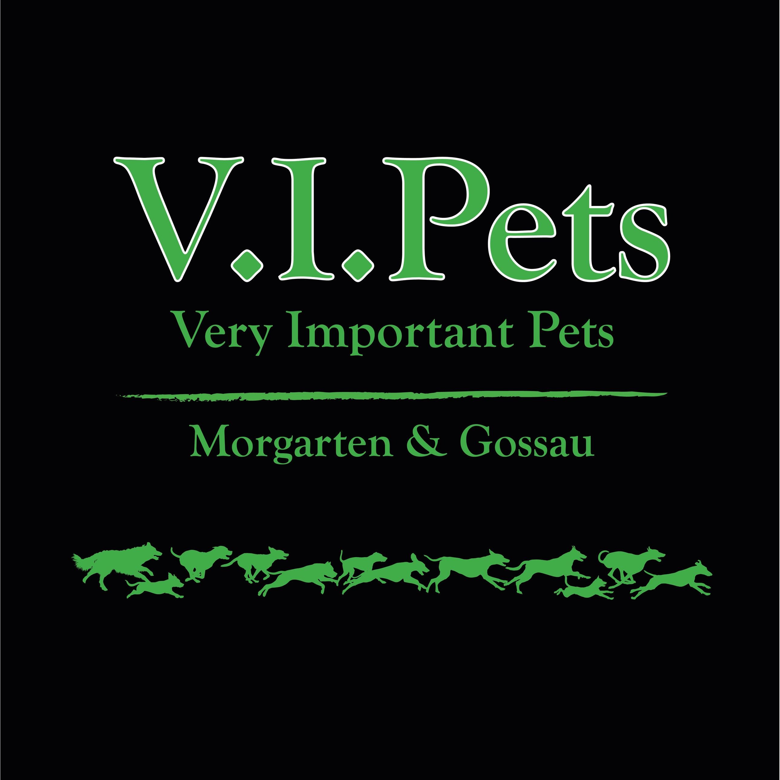 V.I.Pets Morgarten Logo