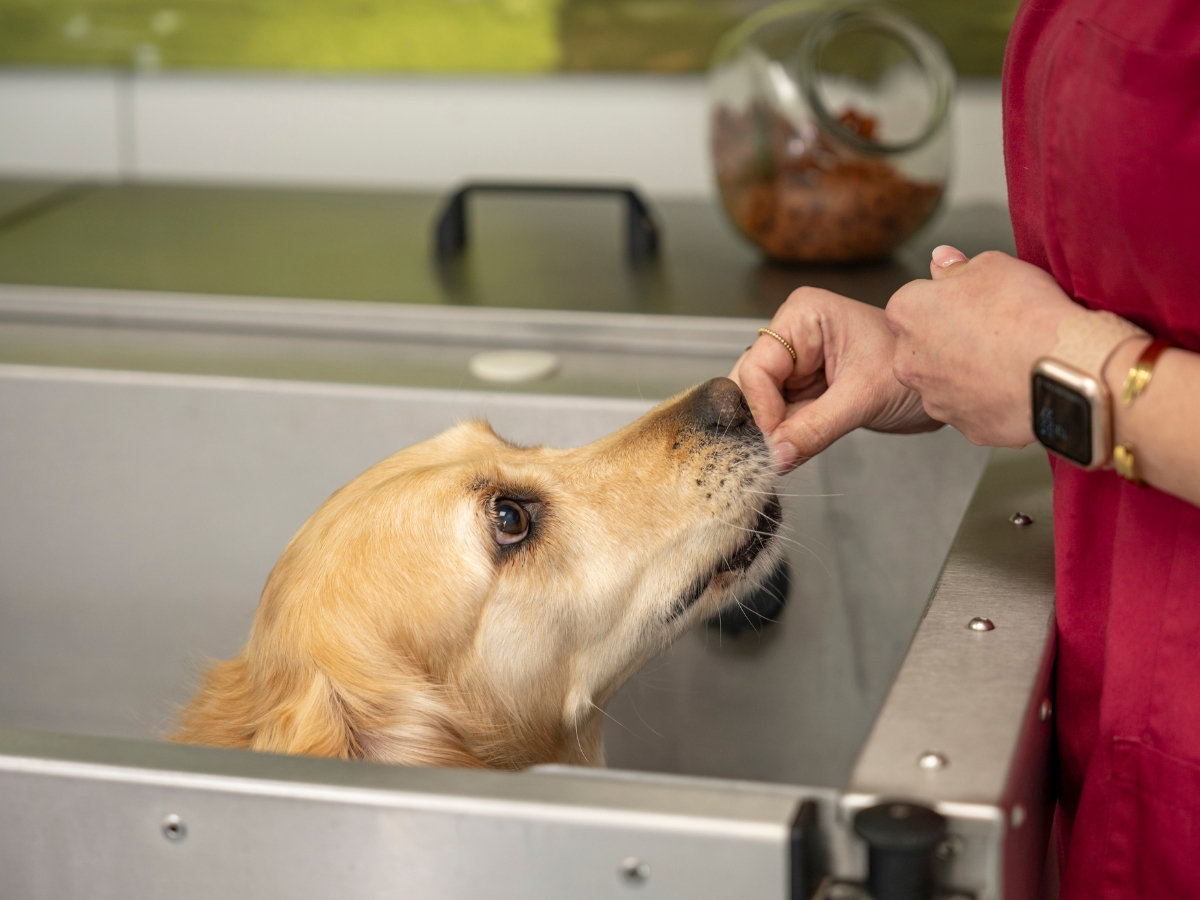 Bilder Tierarzt Limeshain, Kleintierzentrum Kilb&Team