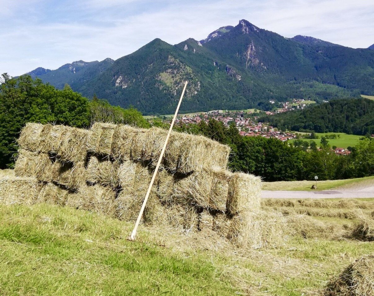 Gut Pfotental Tierfutter in Mettenheim