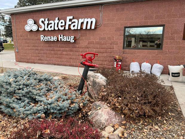 Images Renae Haug - State Farm Insurance Agent