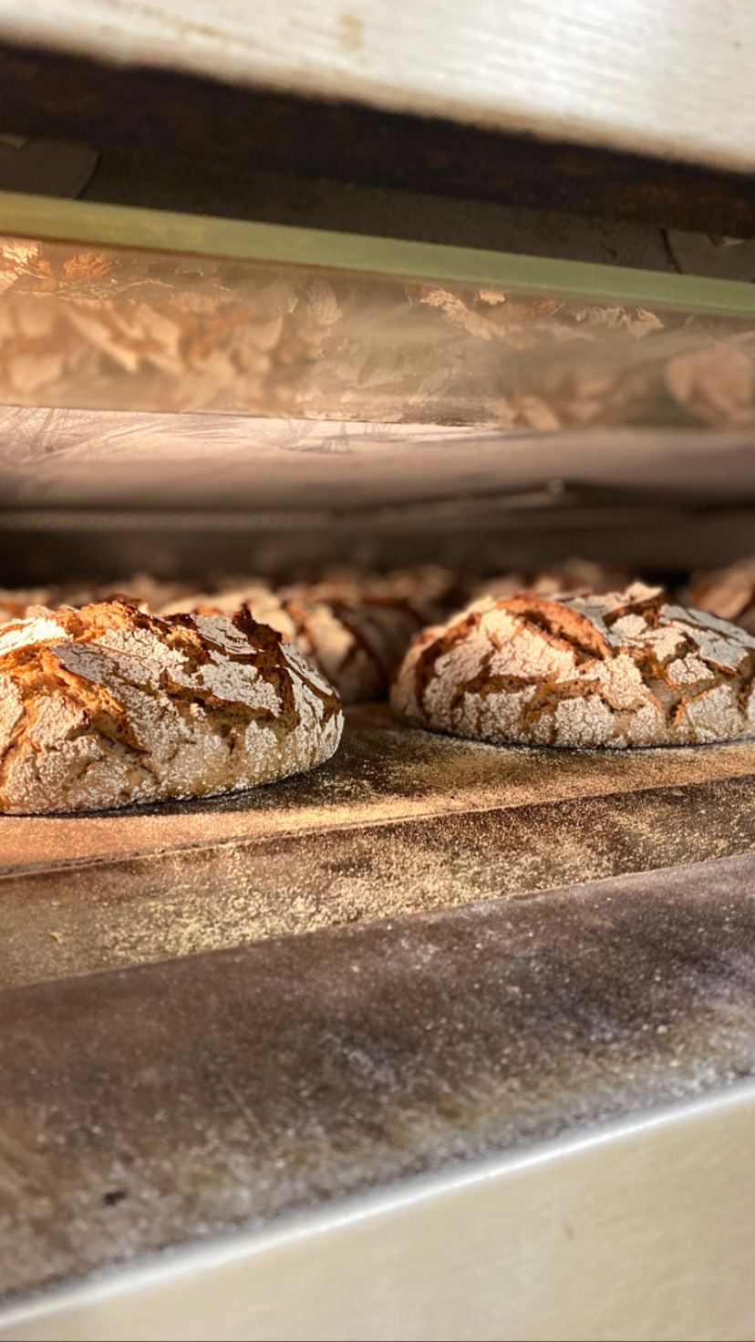 Bäckerei & Konditorei Jahn Inh. Ines Jahn, Marktstraße 13 in Zehdenick