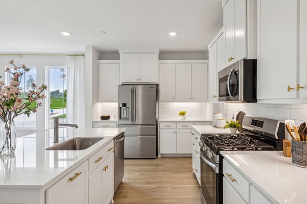 Images Painted Tree Woodland District by CB JENI Homes