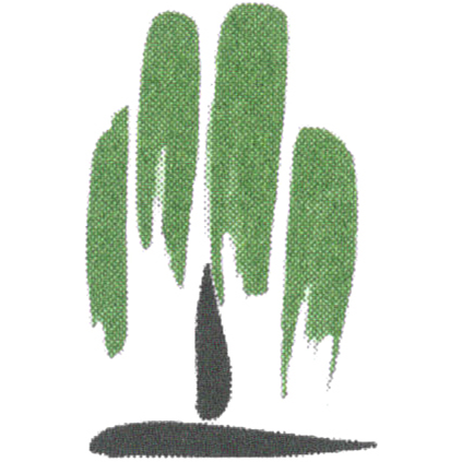 Auen-Apotheke Logo
