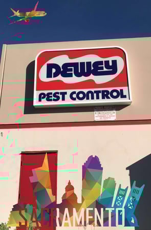 Images Dewey Pest & Termite Control
