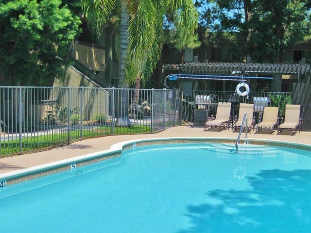 Shimmering Swimming Pool with Spa