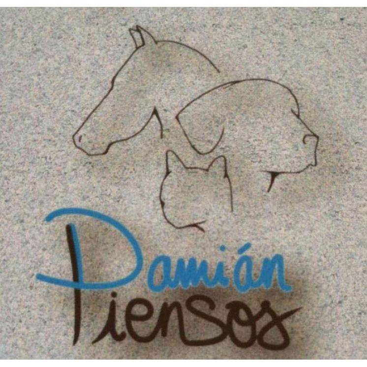 PIENSOS DAMIÁN Logo