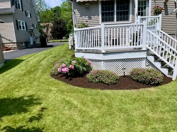 Enhanced view of a vibrant, healthy green backyard turf showcasing professional grass striping patterns. Regular lawn care and precision cutting maximize curb appeal for properties throughout the Finger Lakes region by JB Lawncare Services.