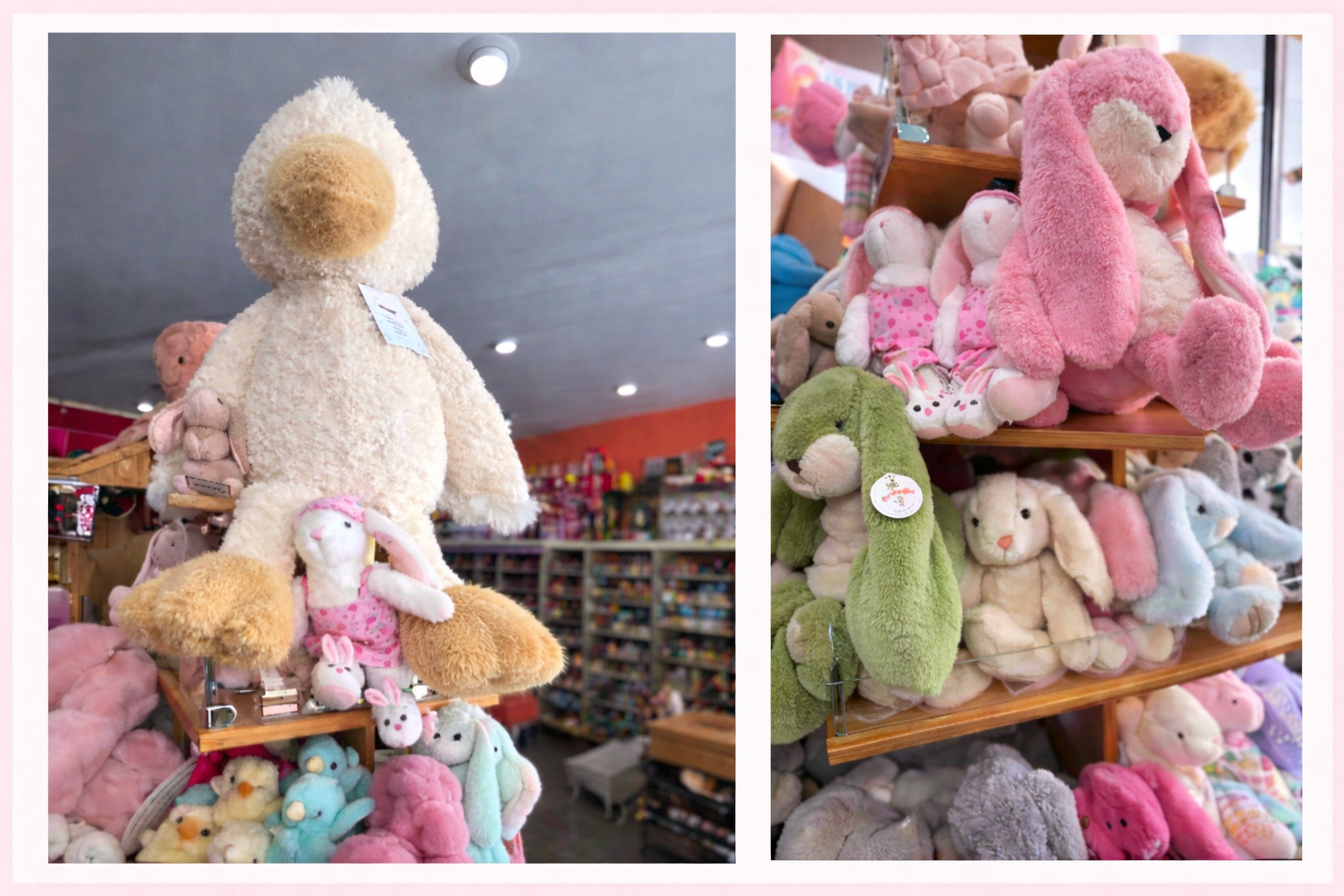 We&rsquo;ve got bunnies on bunnies on bunnies ready to hop home just in time for Easter ????????
Here are just a few of the cuties we currently have in store ????
�So fluffy, so soft, and just about the sweetest Easter surprise you could find!
Come by and meet your perfect bunny ????