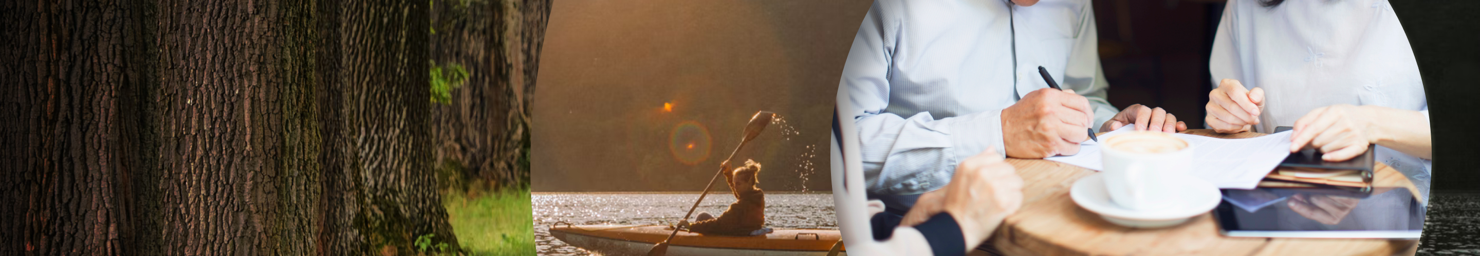 Collage featuring a row of tree trunks, a woman kayaking, and people gathered around a cafe table signing a document.