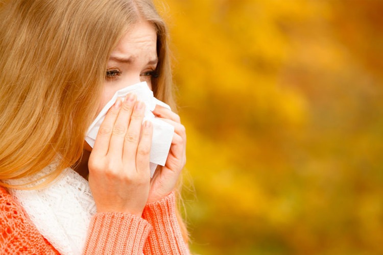 Images Ølen apotek AS